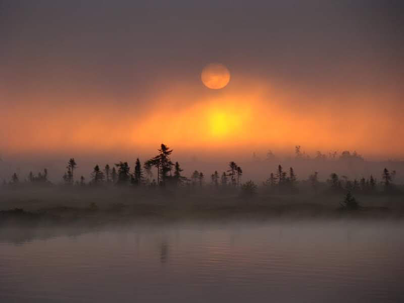 Sunrise in Fog