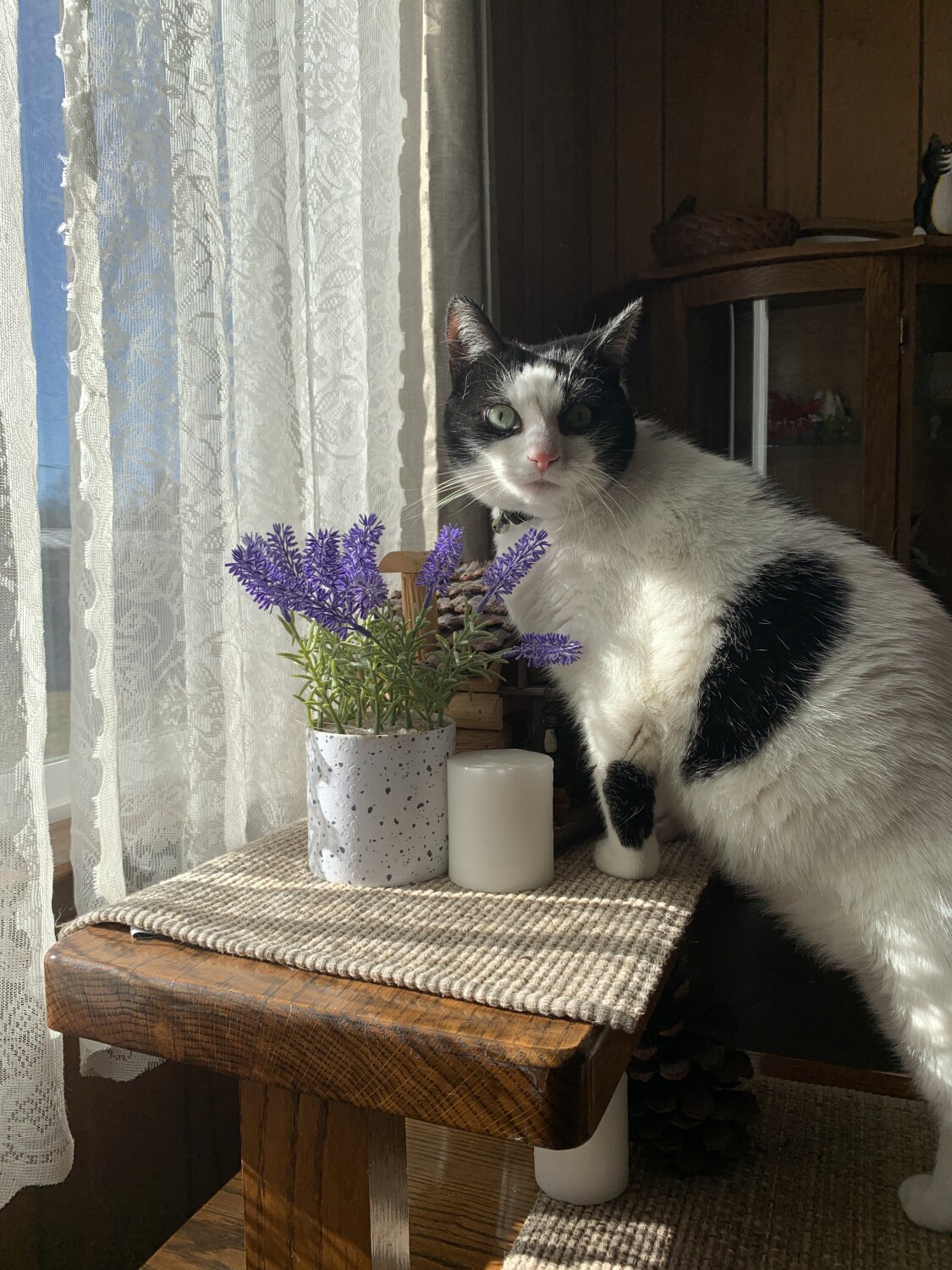 I love flowers!Batman just loves to check out ever