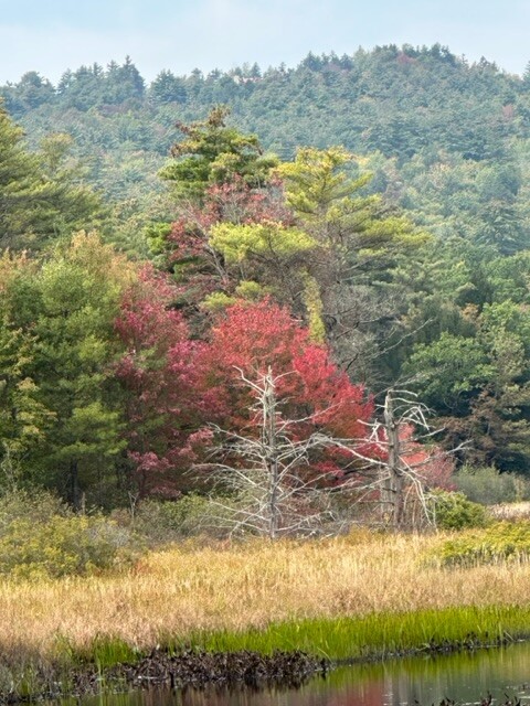 Seasons Change on a Smoky Afternoon
