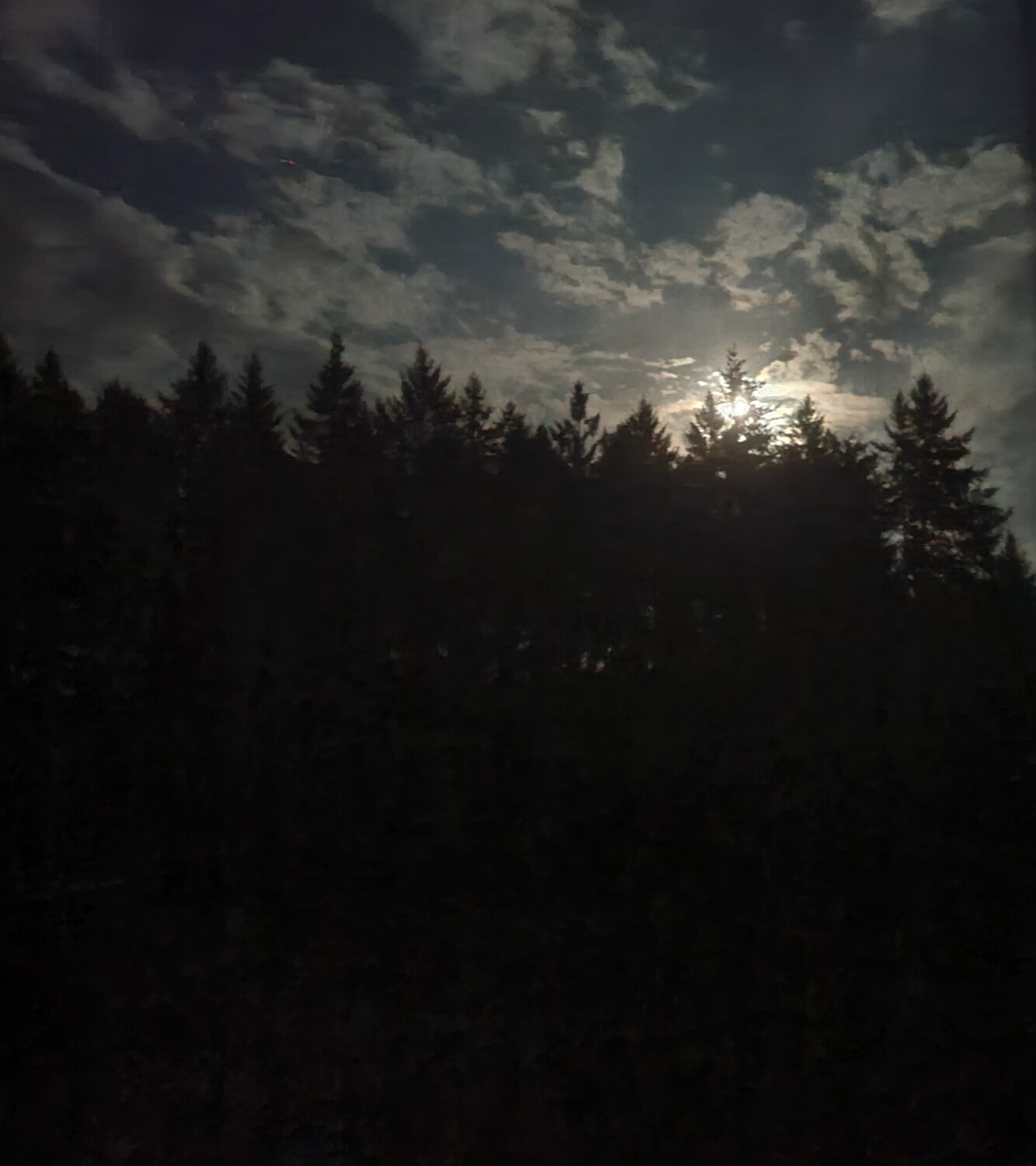 Peaceful Oregon Night