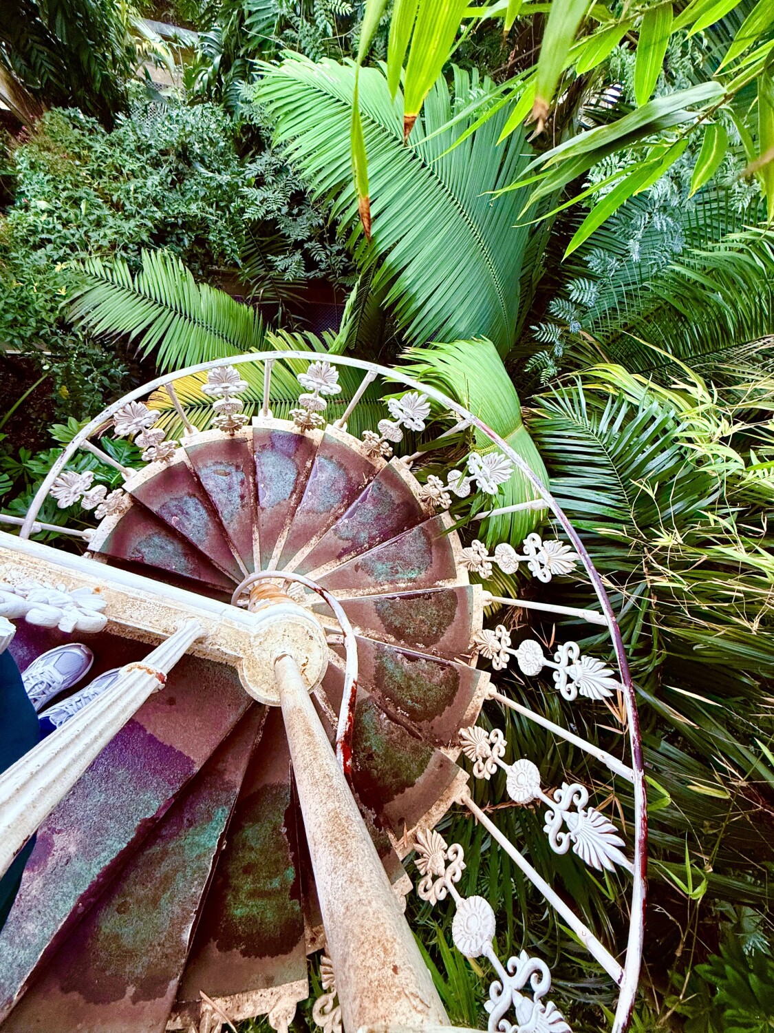 London Botanical Garden