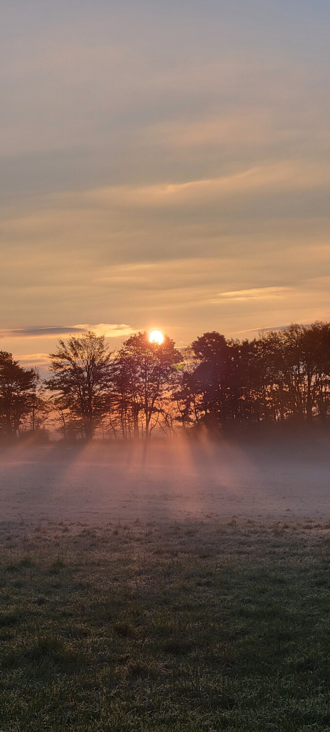 Morning Dew