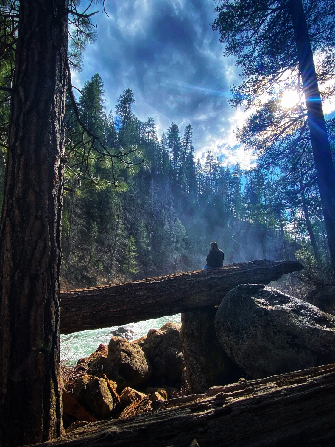 Never Alone