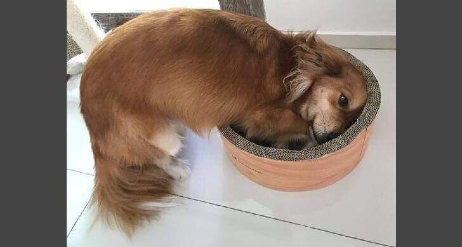 Half body..feeling small..!