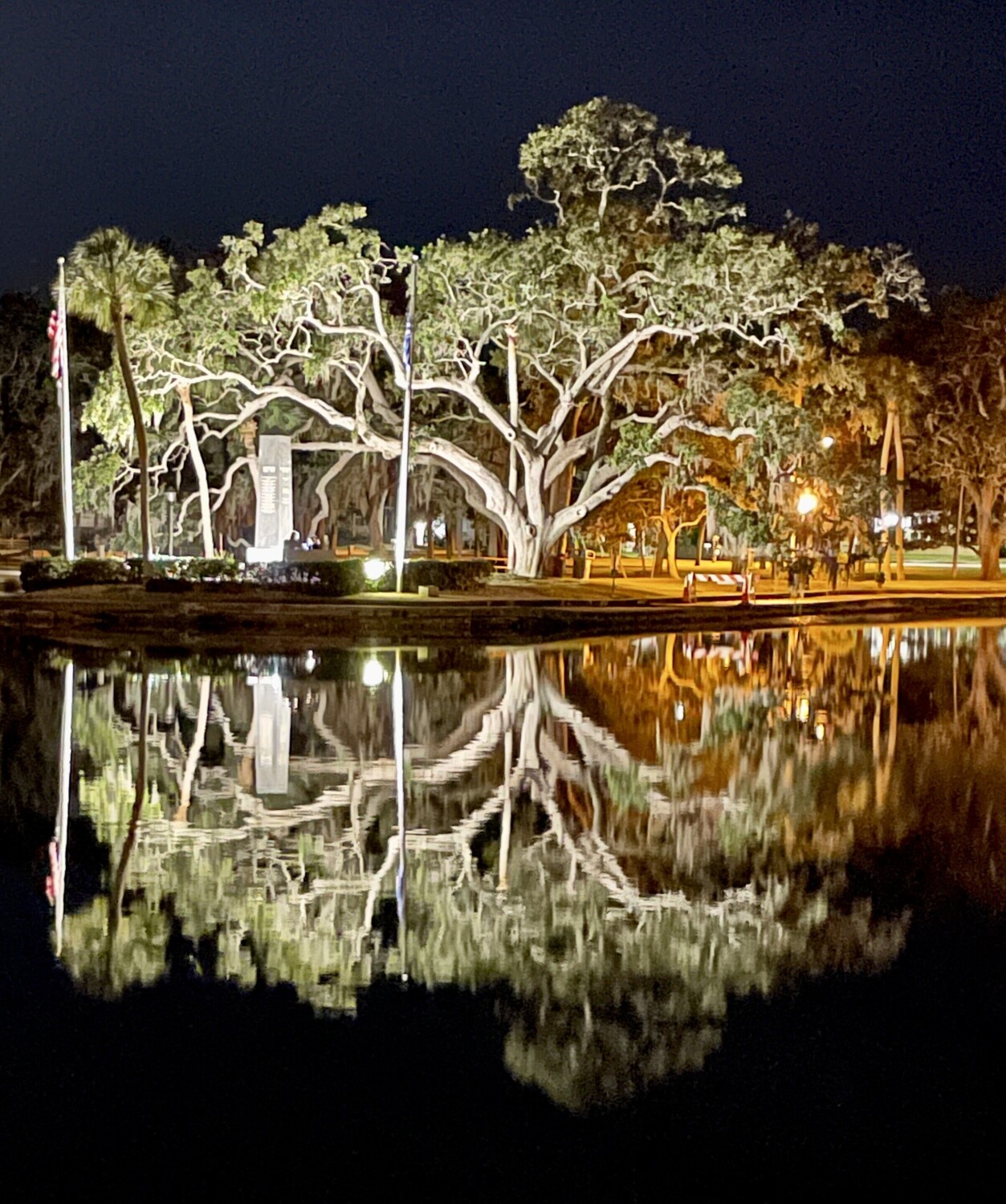 Tarpon Tree