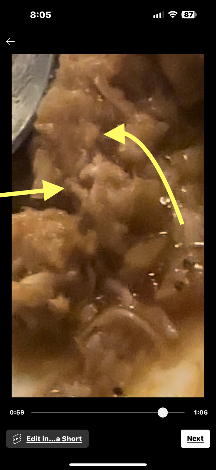 Witch 🧙‍♀️ Casserole 🥘