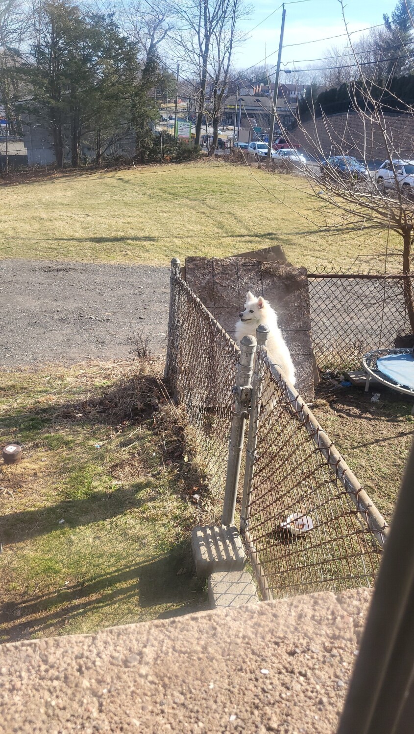 EL SALTÓ DE FELICIDAD