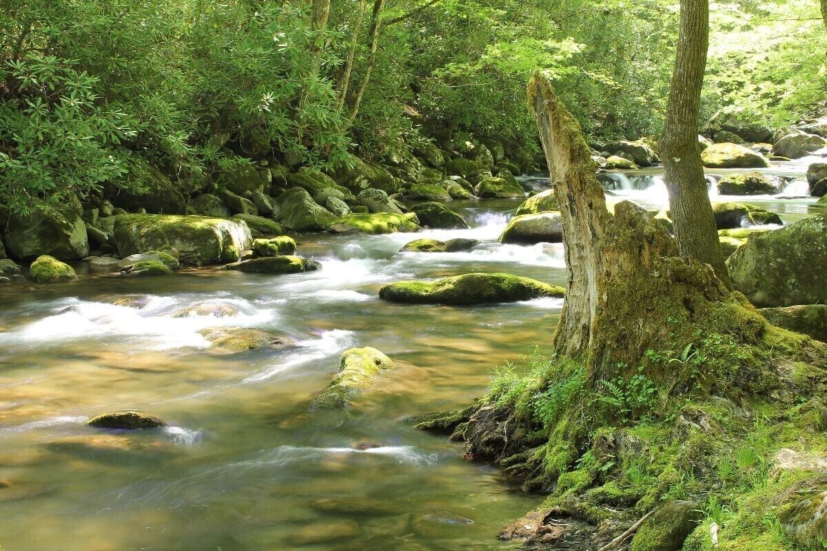 Smoky Mountain Memories
