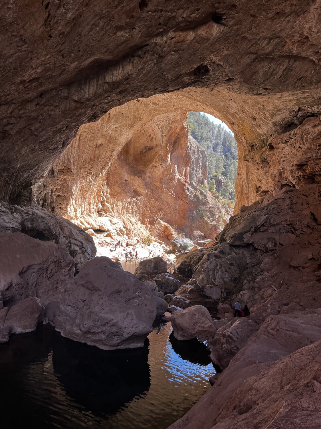 Into an Oasis
