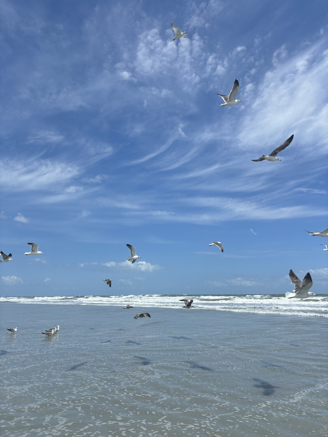 Fly   high …