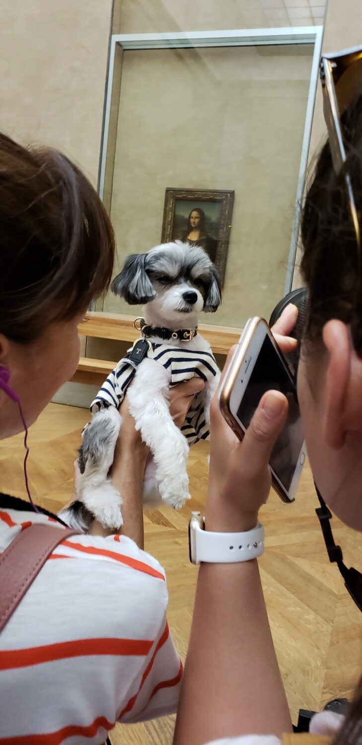 Mona Lisa and French pup