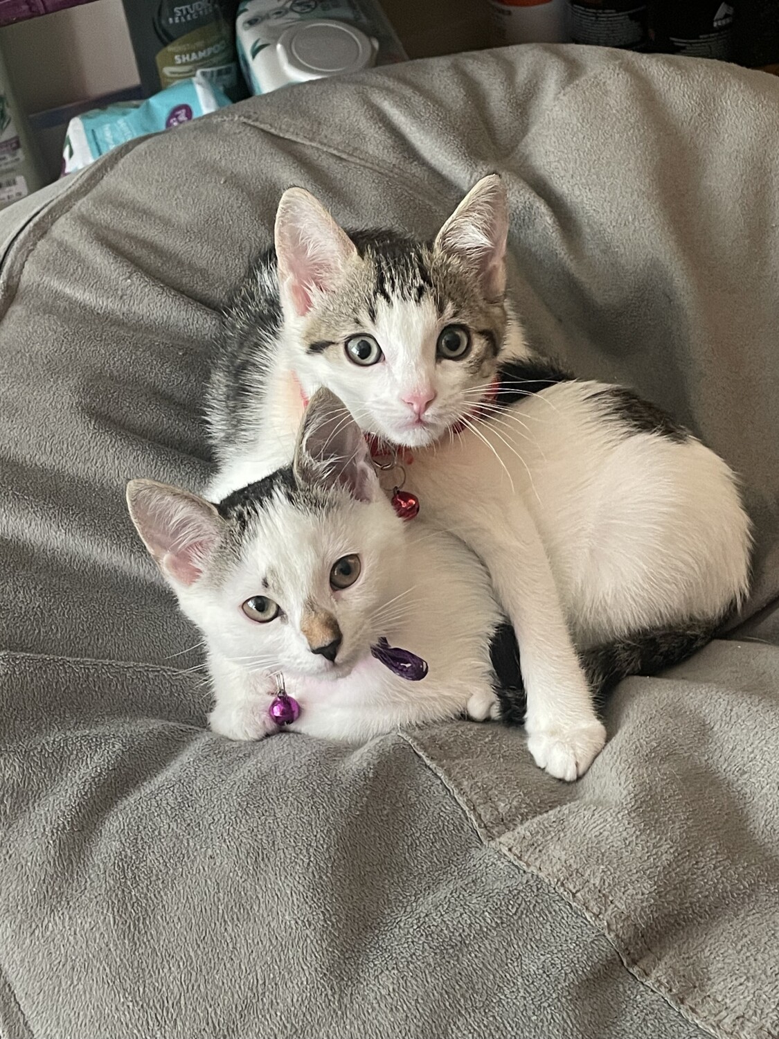 Sisters