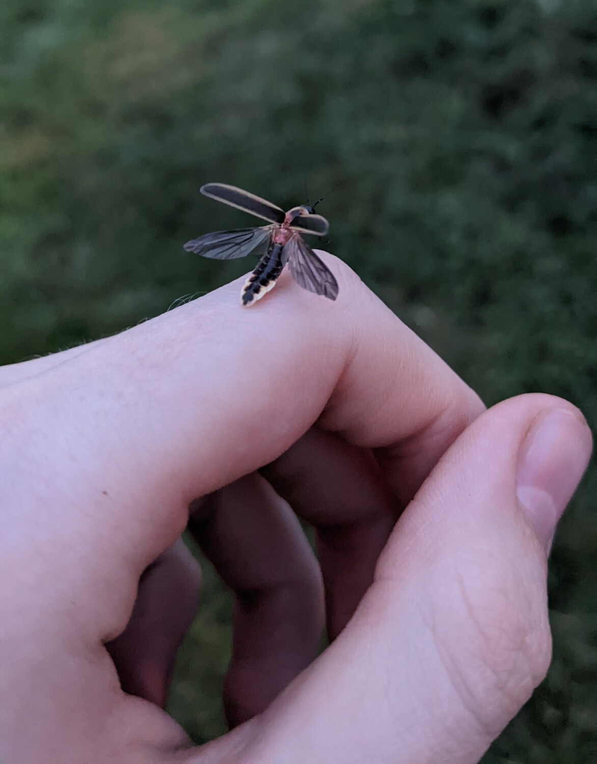 Taking Flight
