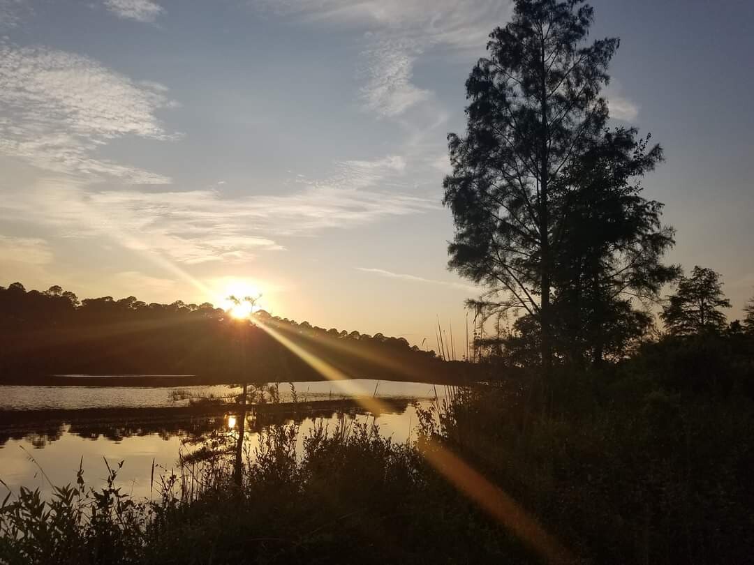 Georgia sunset