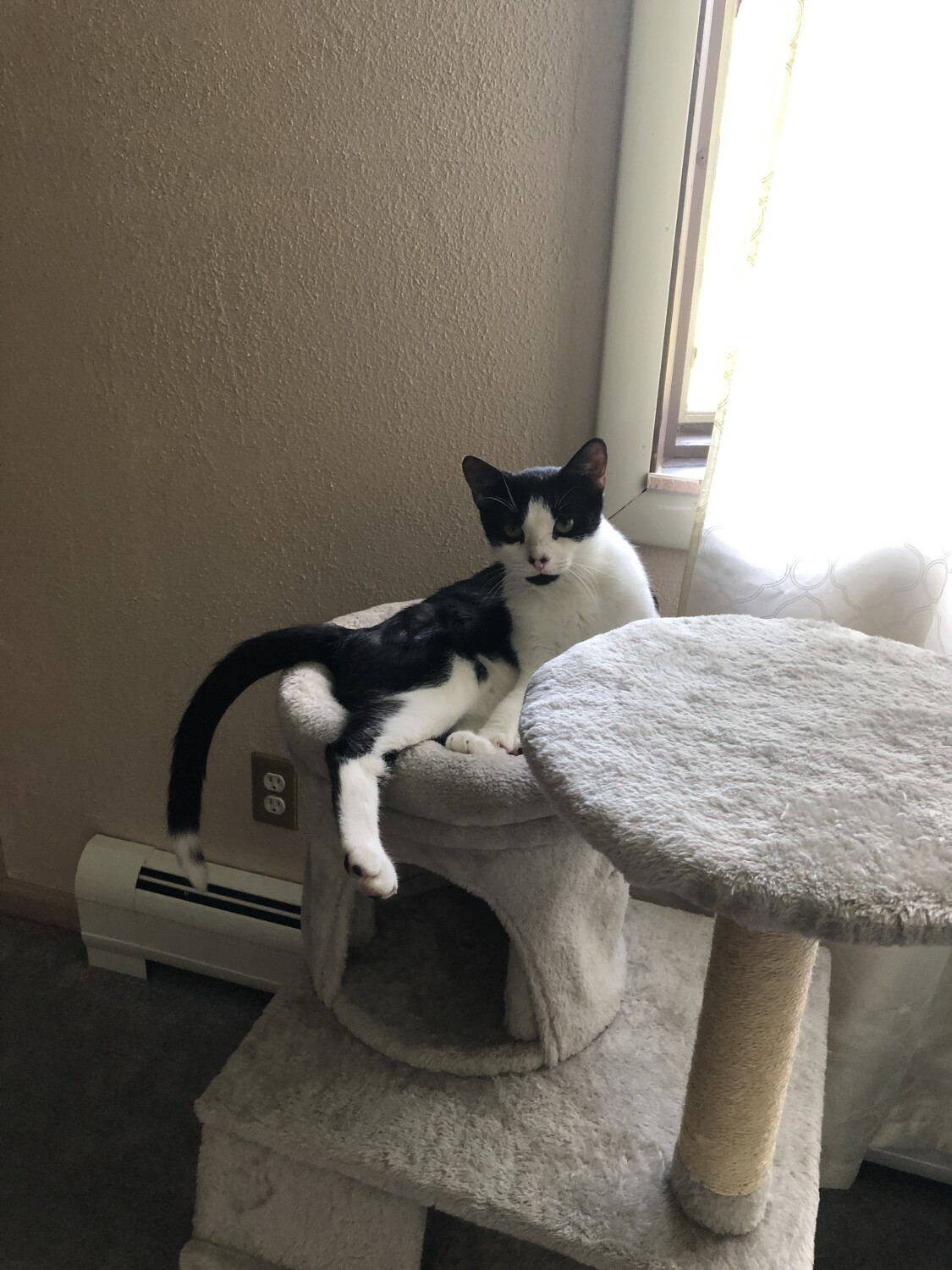 Sweetie I’m 11 months old I’m chillin