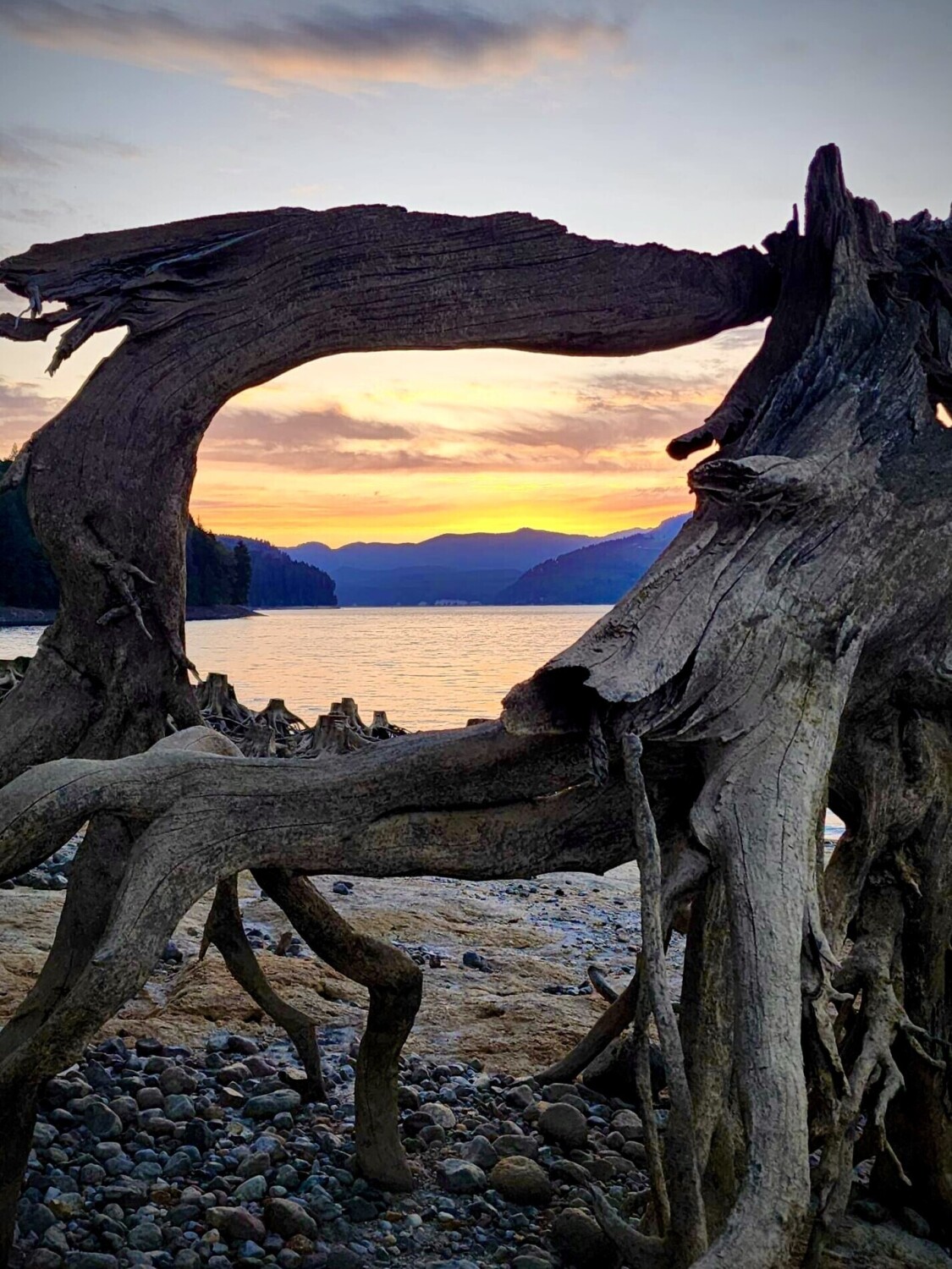 Swift Sunset
