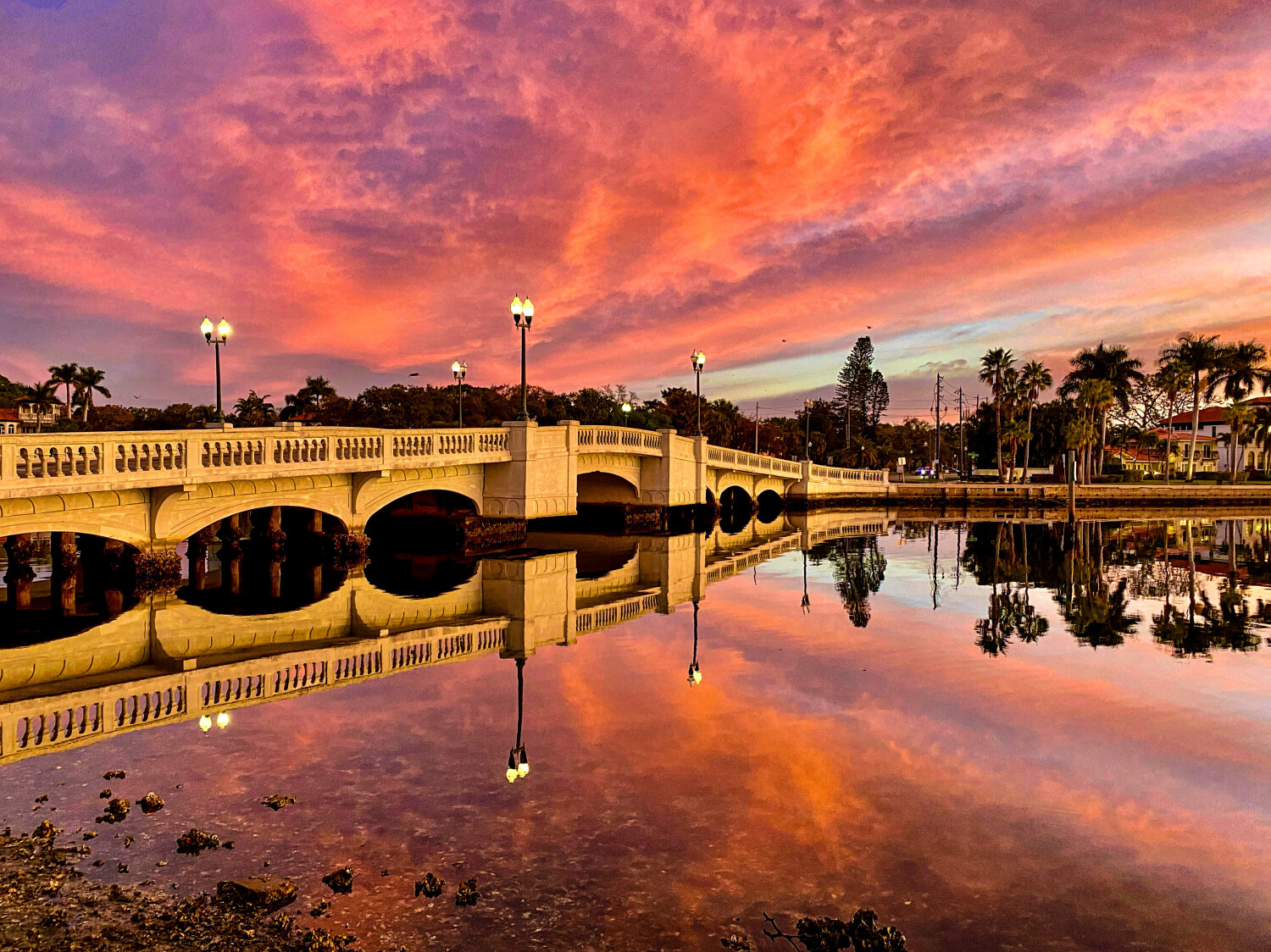 Snell Isle Bridge Sunrise