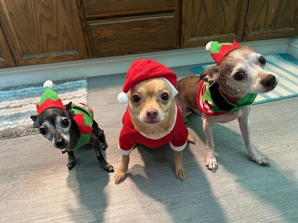 The 3 Musketeers