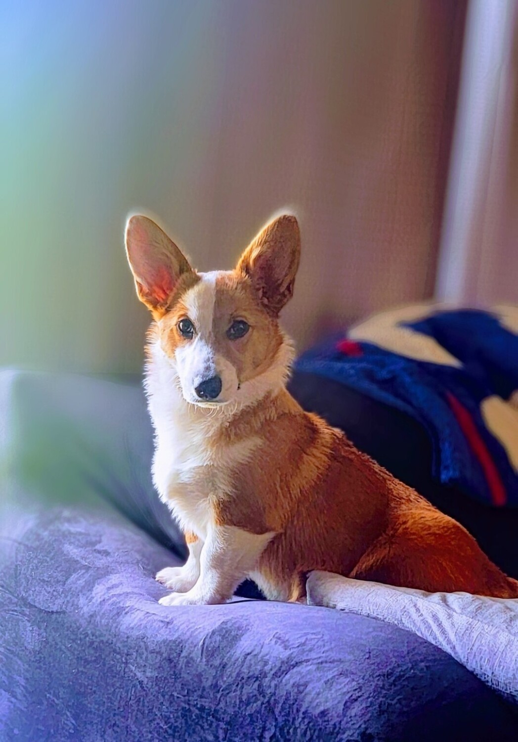 Lydia