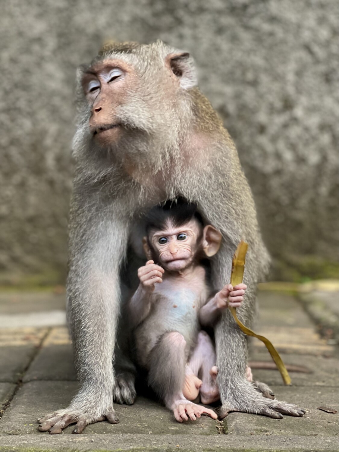 Motherhood