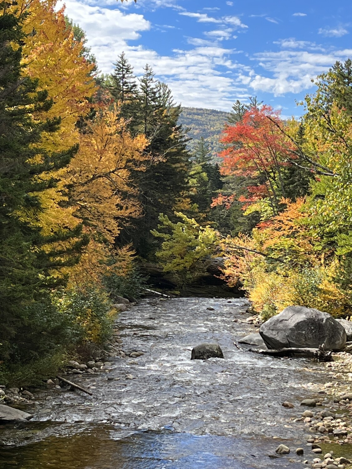There Is Peace In Beauty
