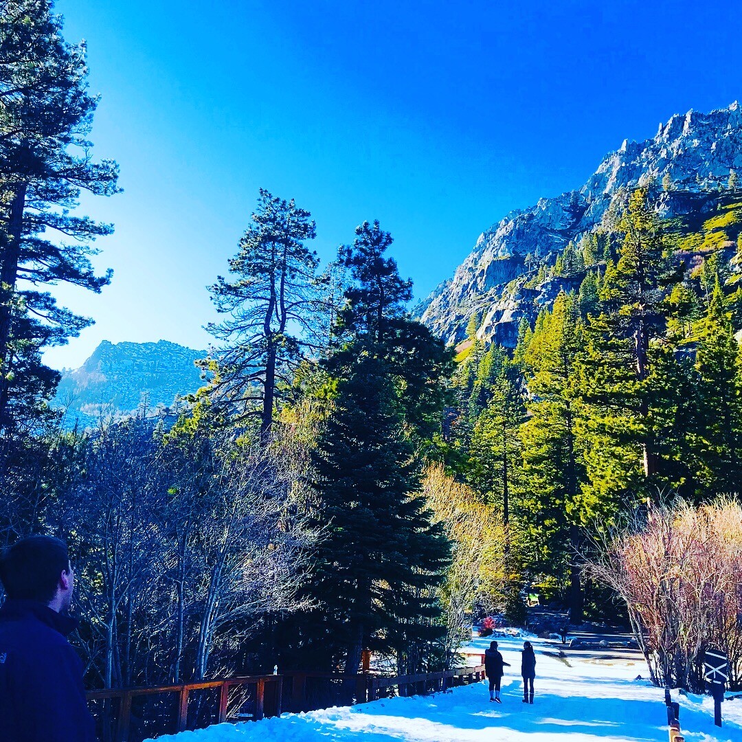 Winter in the Wilderness