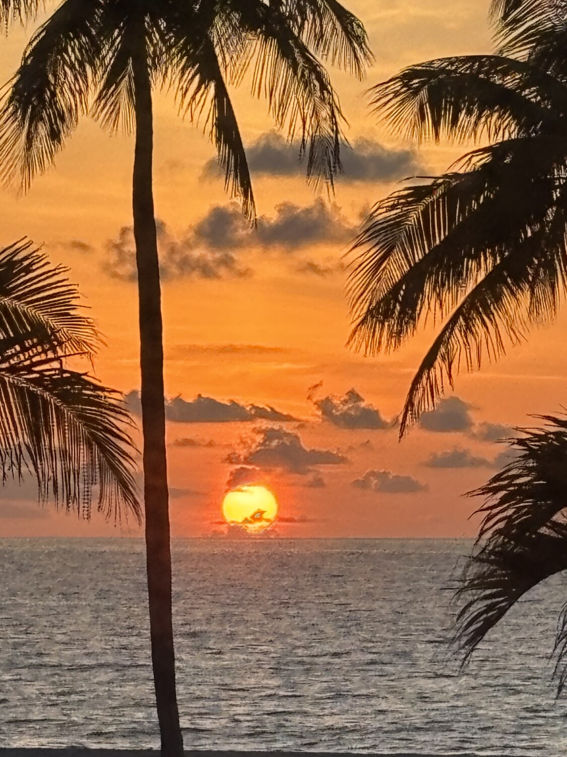 Sunrise from Hollywood Beach Florida