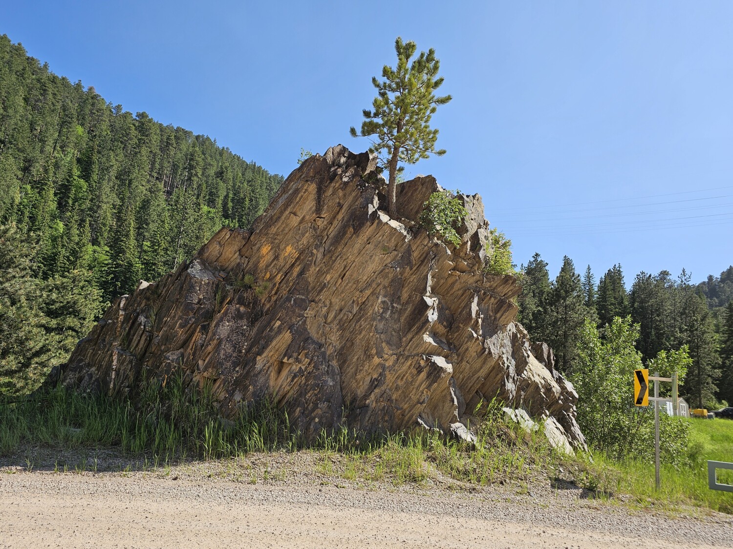 Tree Top Mountain