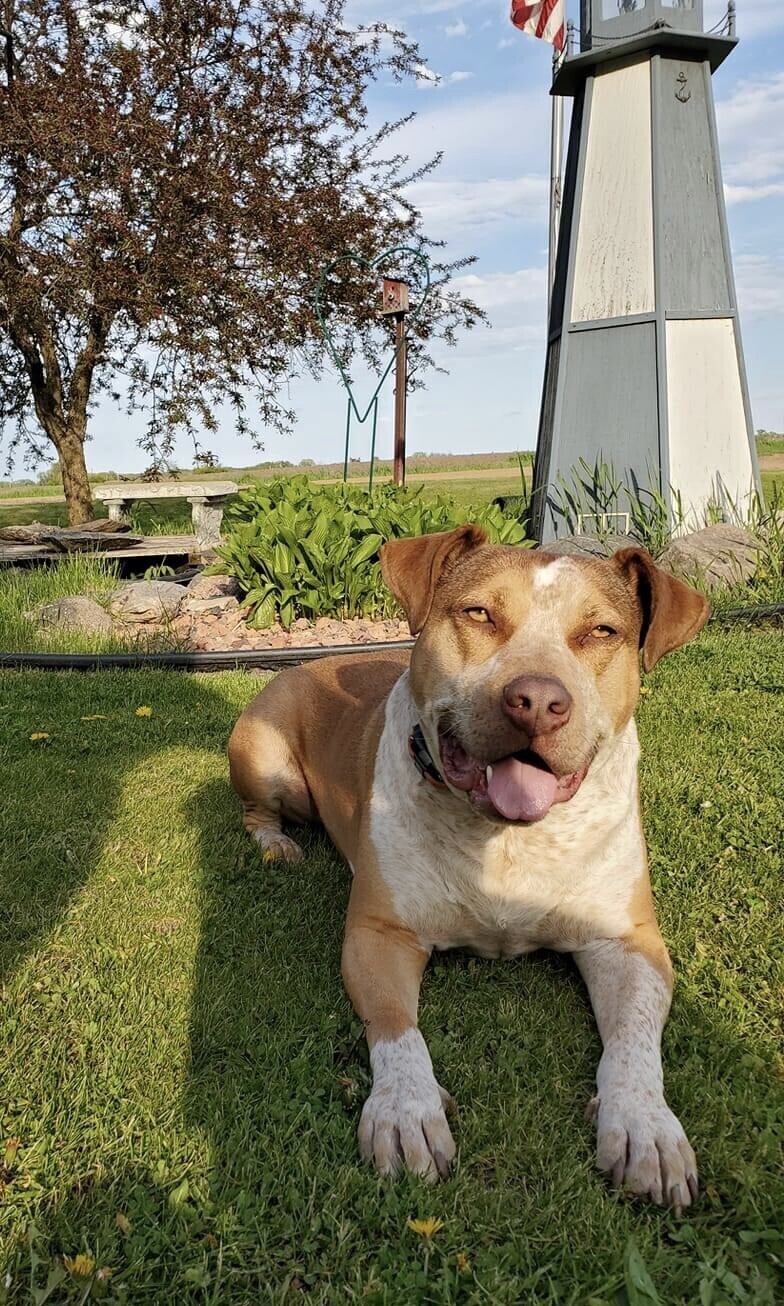 I’m not a posing!