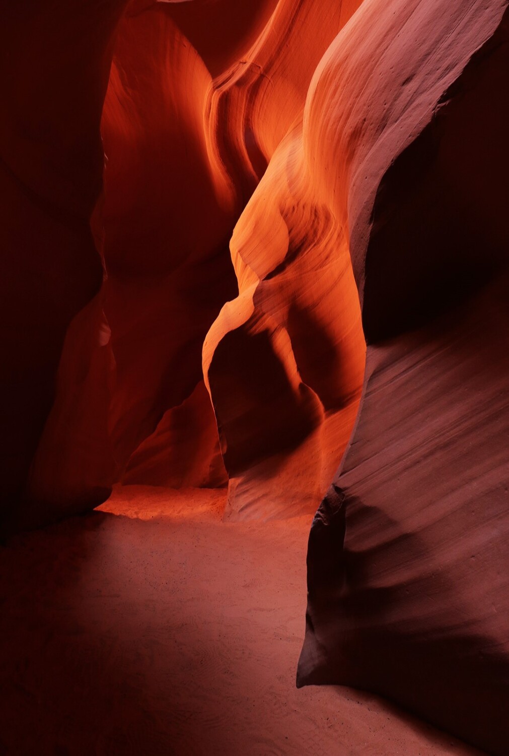 Fire in the Canyon