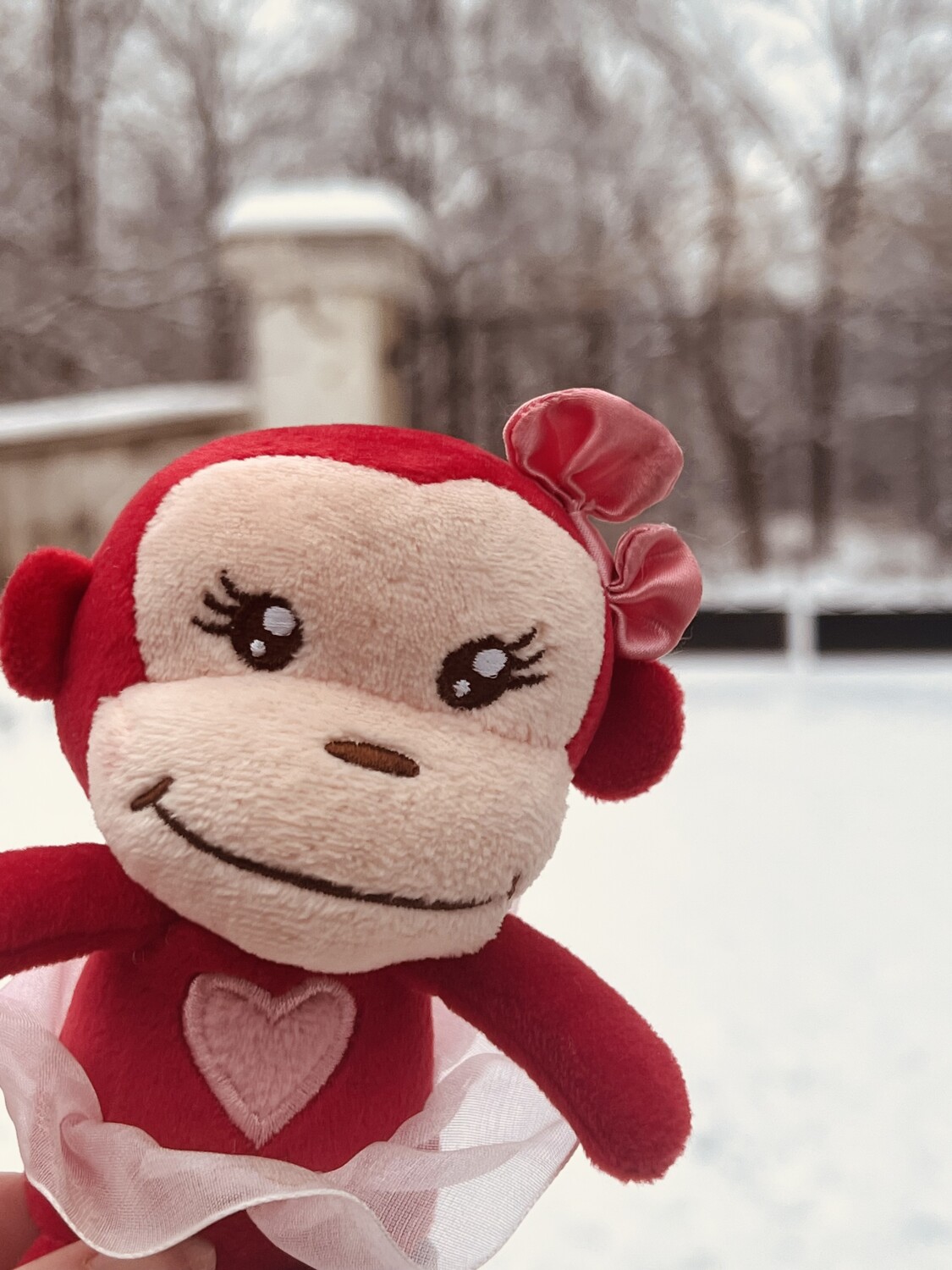 Mon petit Singe (my little Monkey)