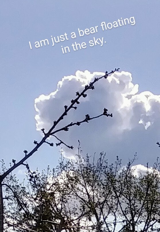 Bear Cloud