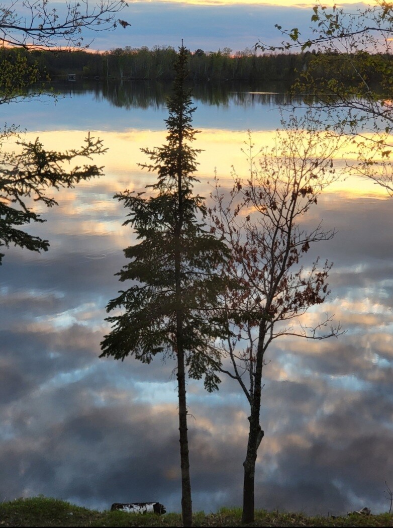 Minnesota Reflections