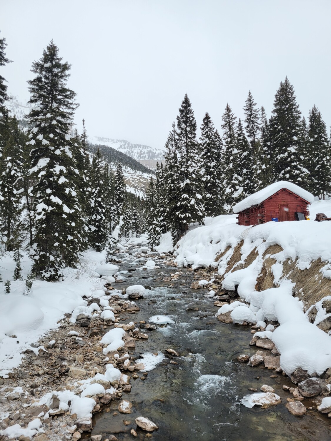 Winter in Yellowstone