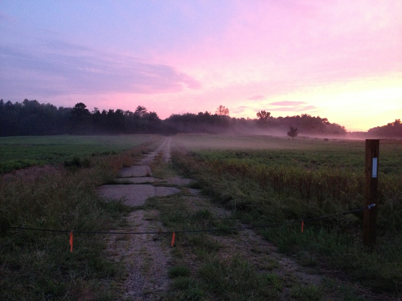 Chancellor battlefield