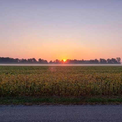 Foggy Midwest sunrise