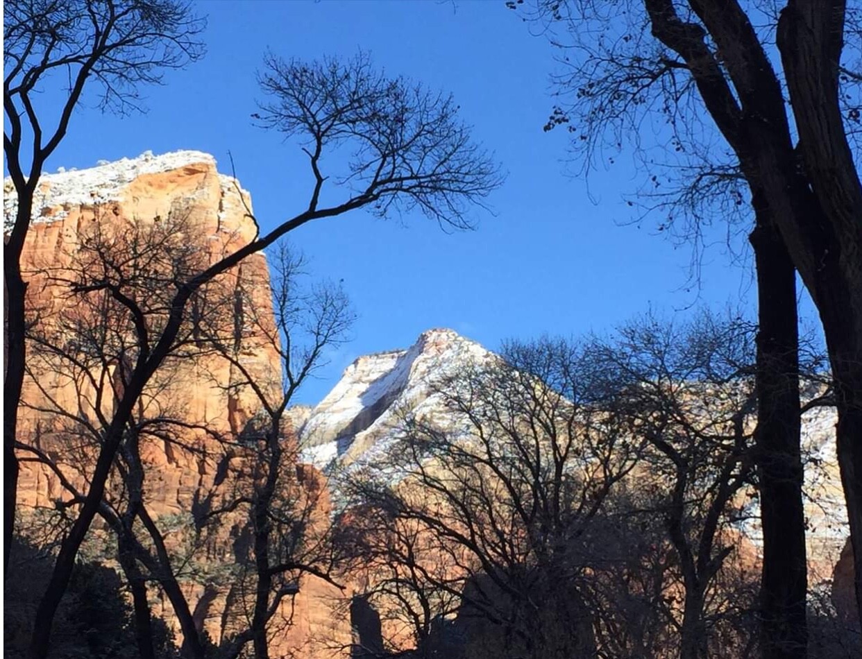Zion in Winter