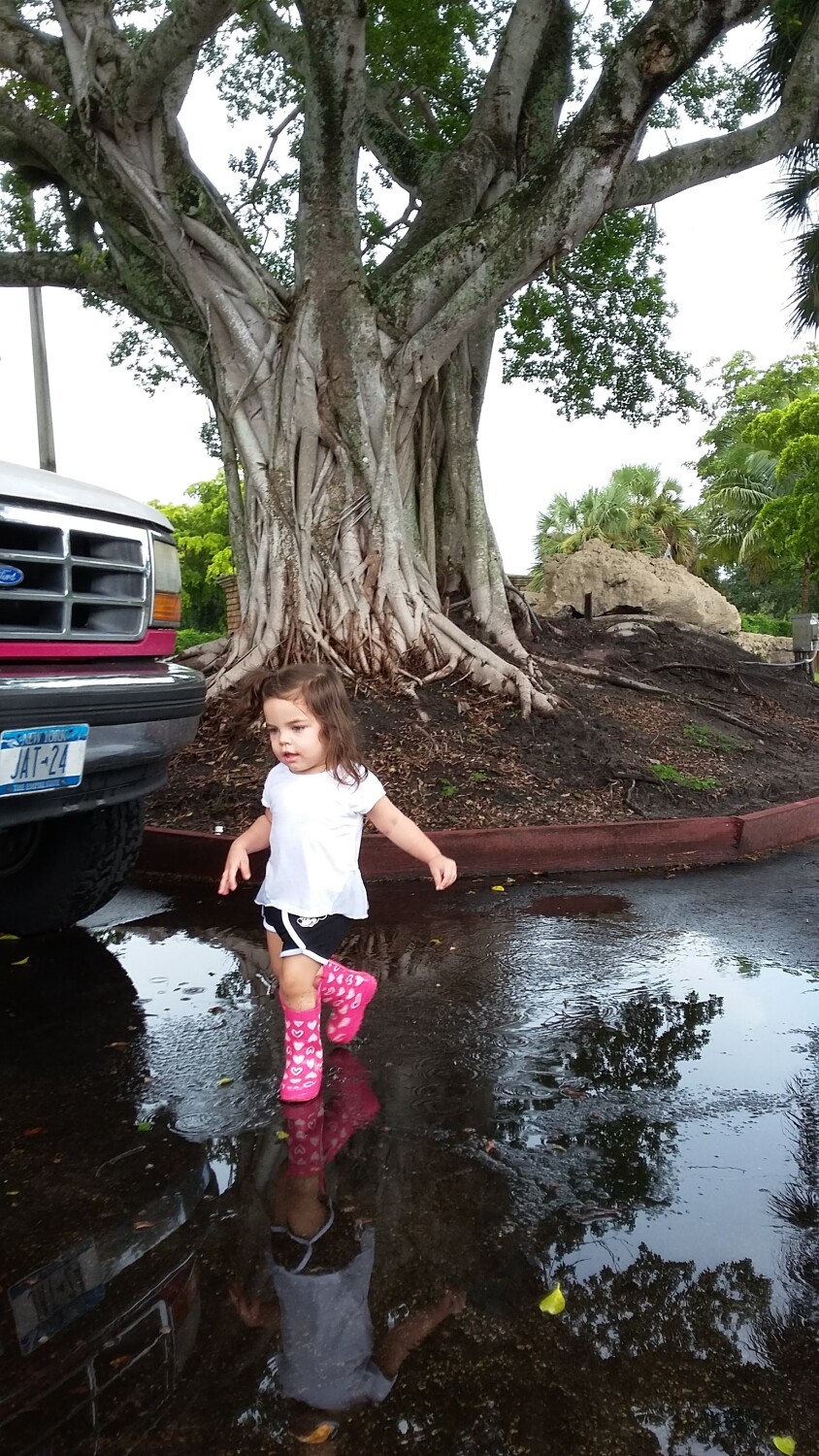 Paseo después de la lluvia.