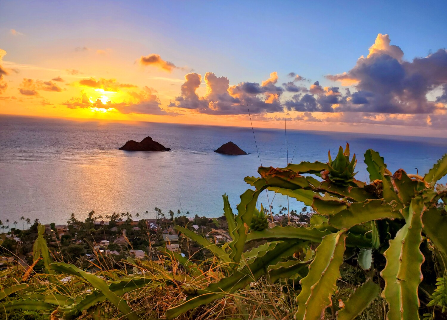 Sunrise, Living with Aloha