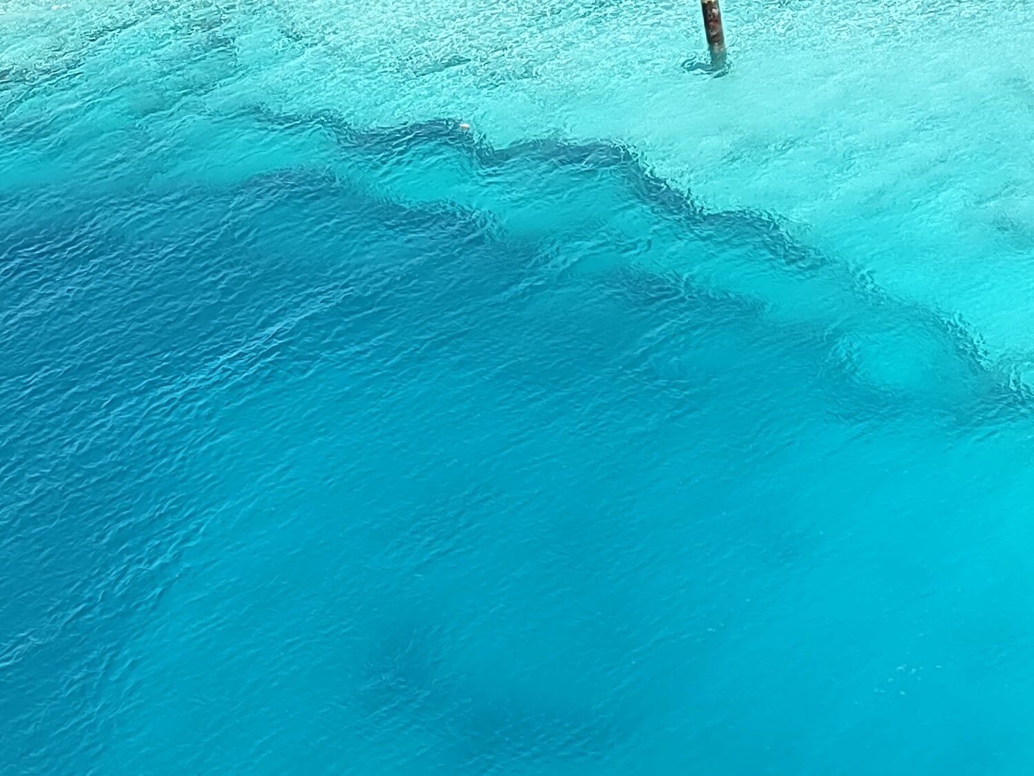 Grand Turk ocean reef