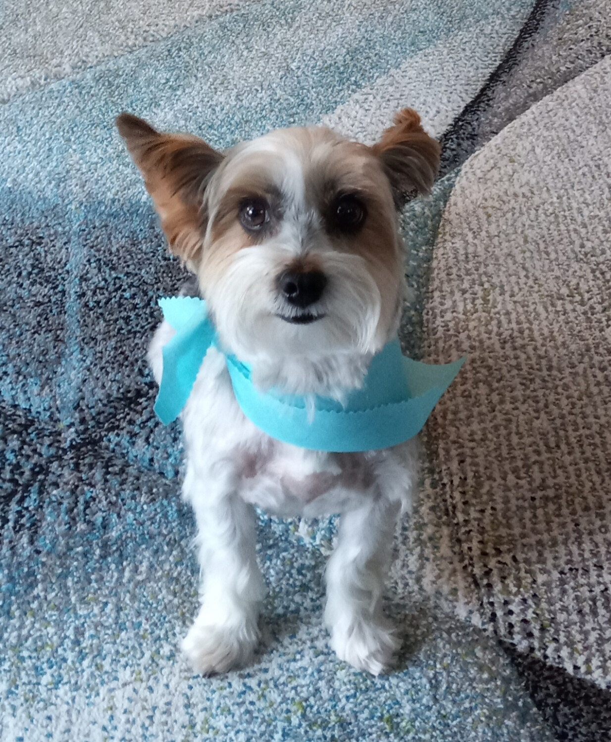 FAVORITE PHOTO OF BINKY