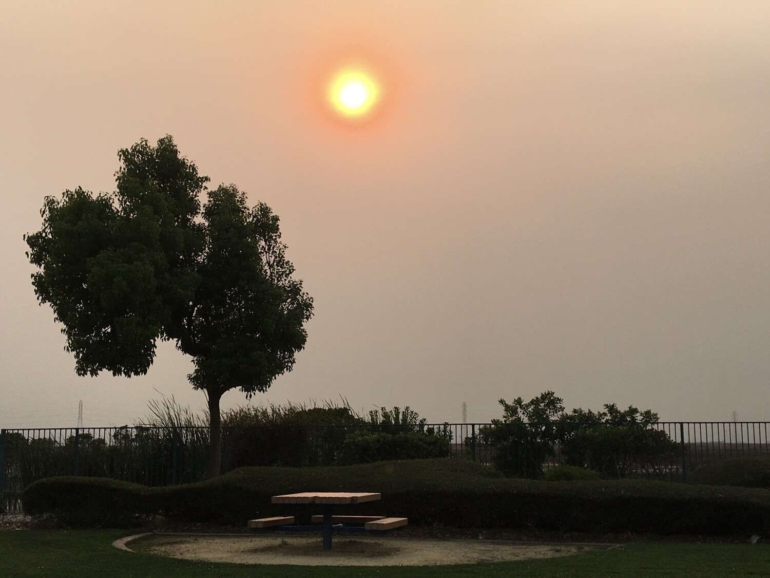 Moonlight Table for Two