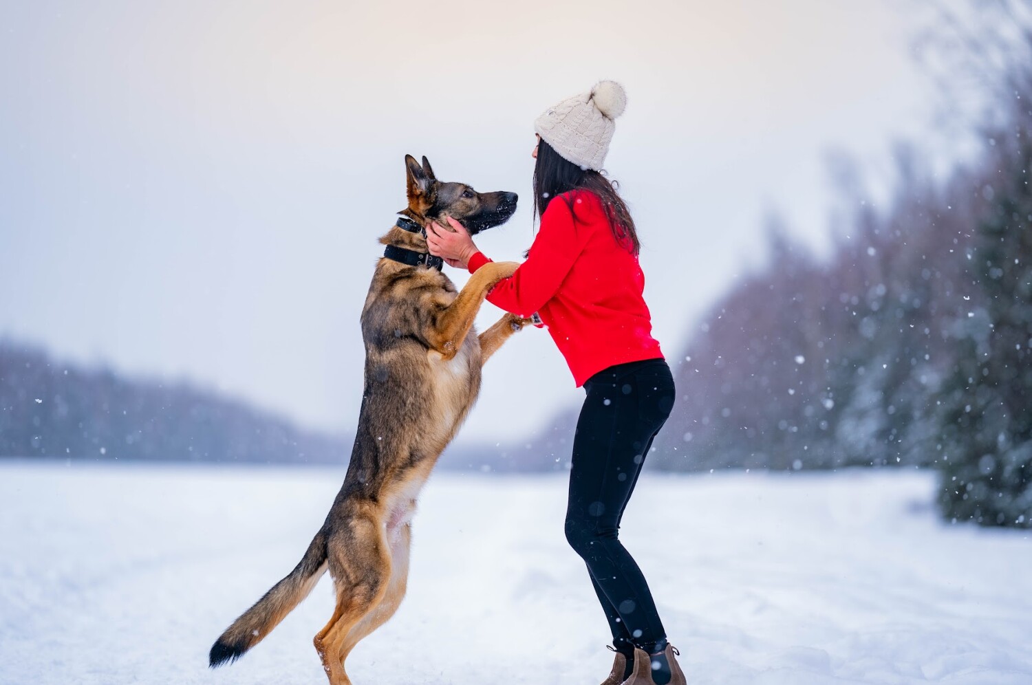 Woman’s best friend