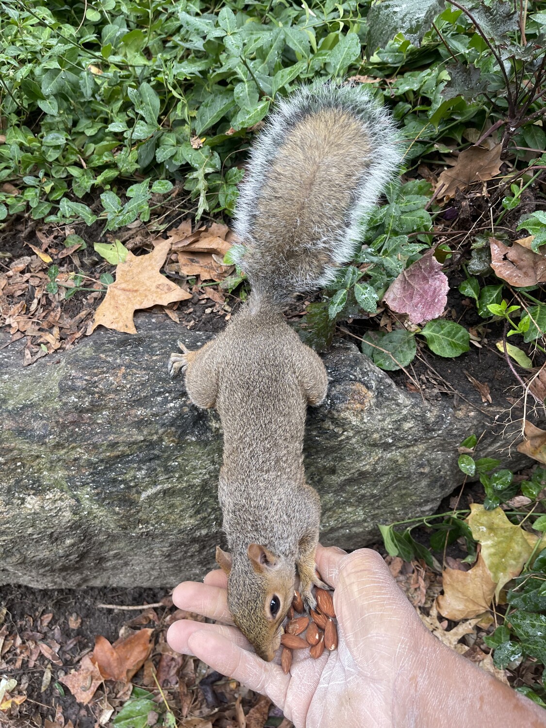 They wanna live too🙏🏻protect them