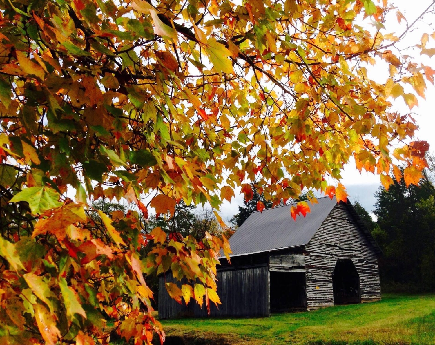 October in the Country