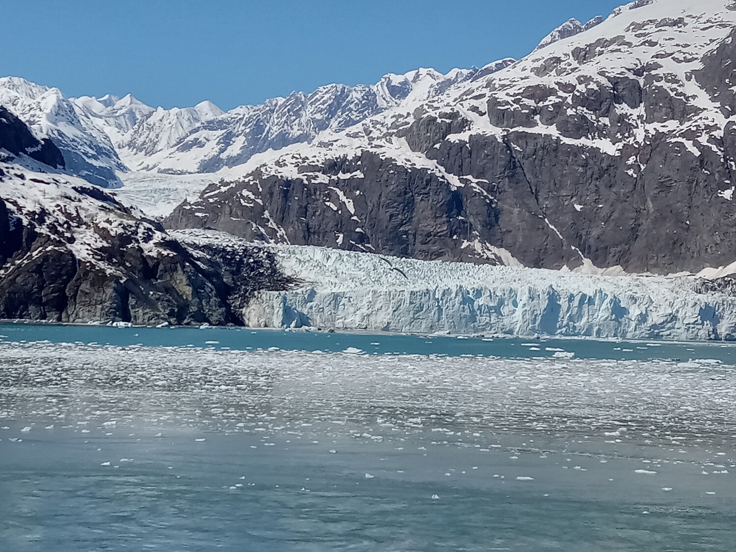 Glacier Bay