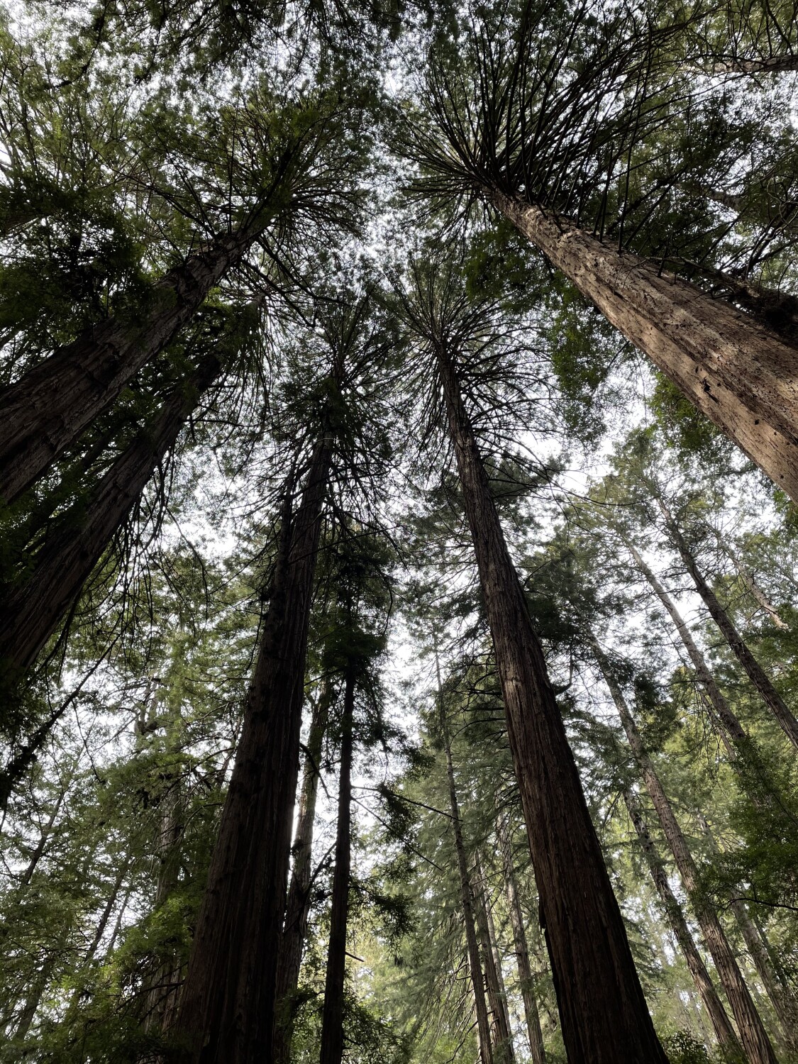 Beyond any expectations