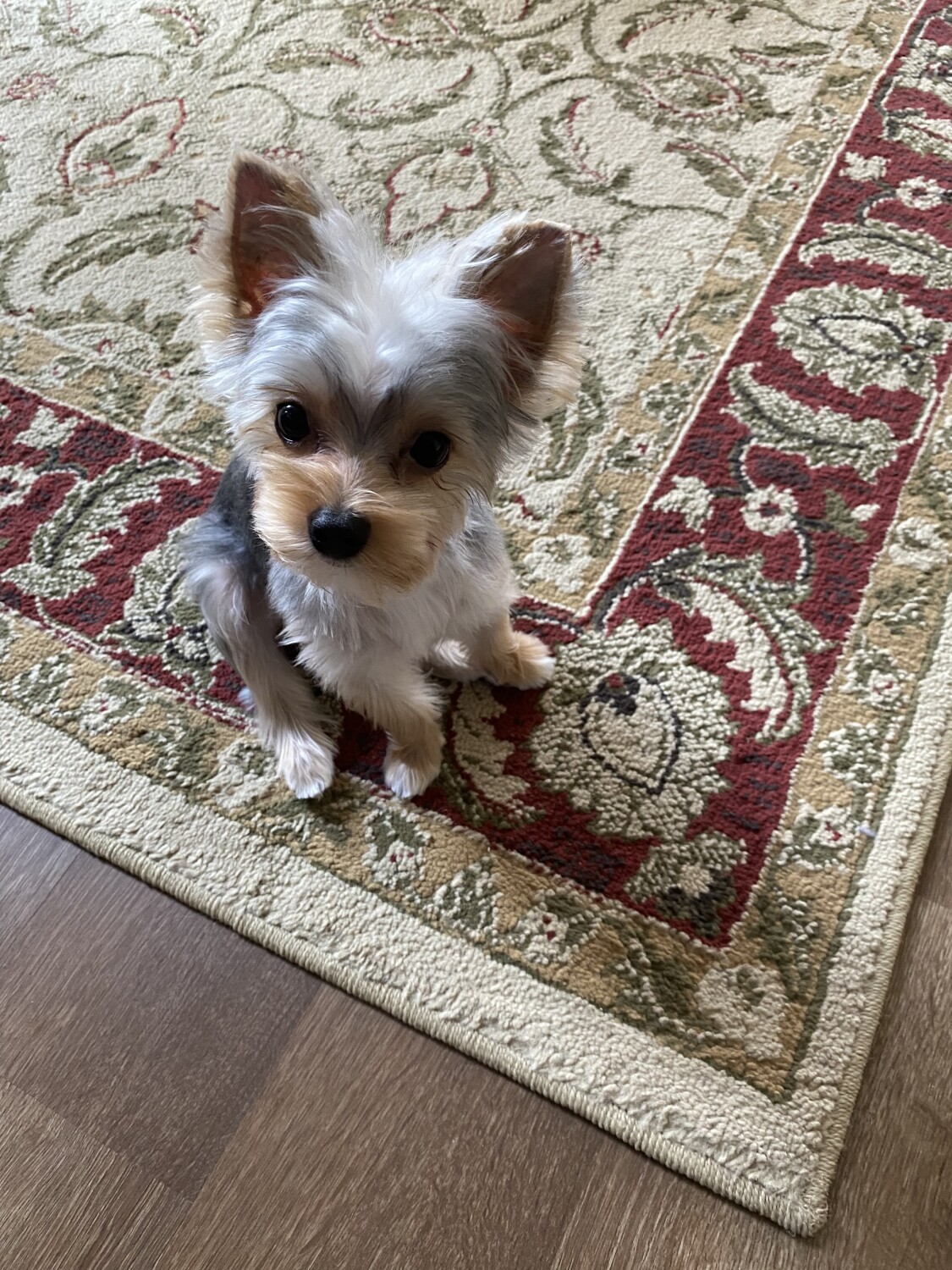 Looking so fresh after my Spa Day!