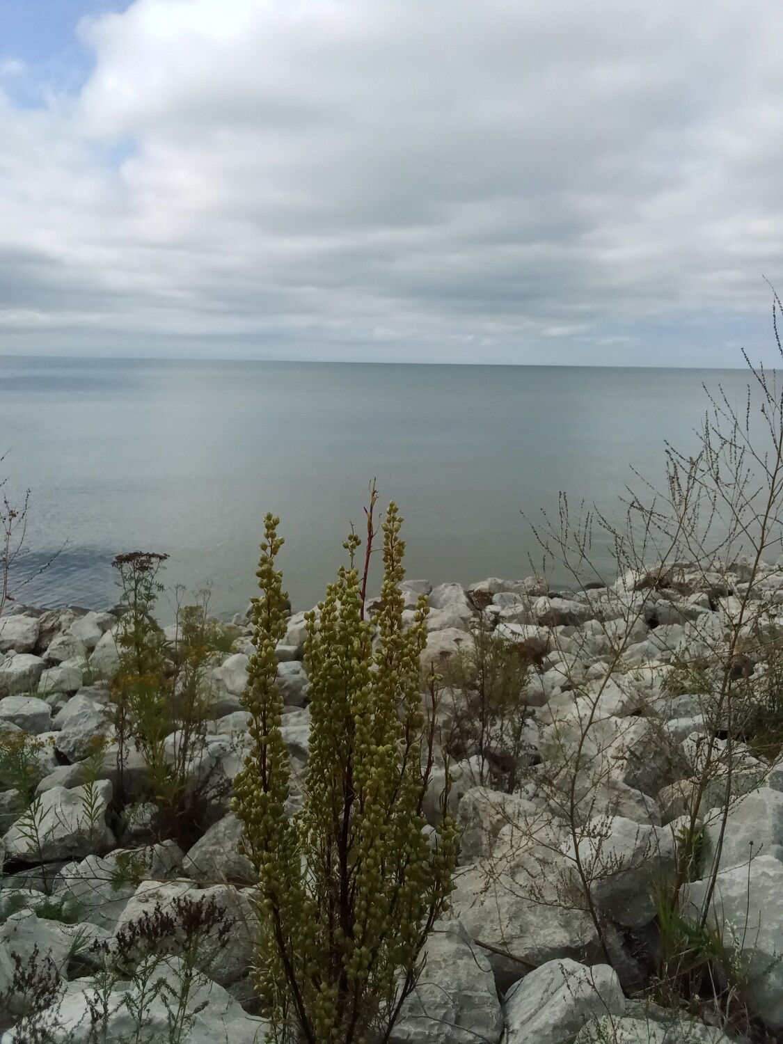 The serenity of Lake Michigan