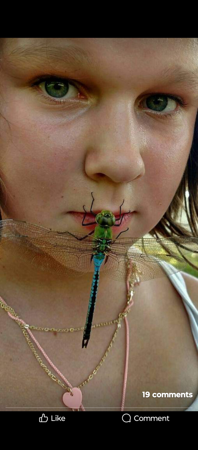 Dragon fly kisses